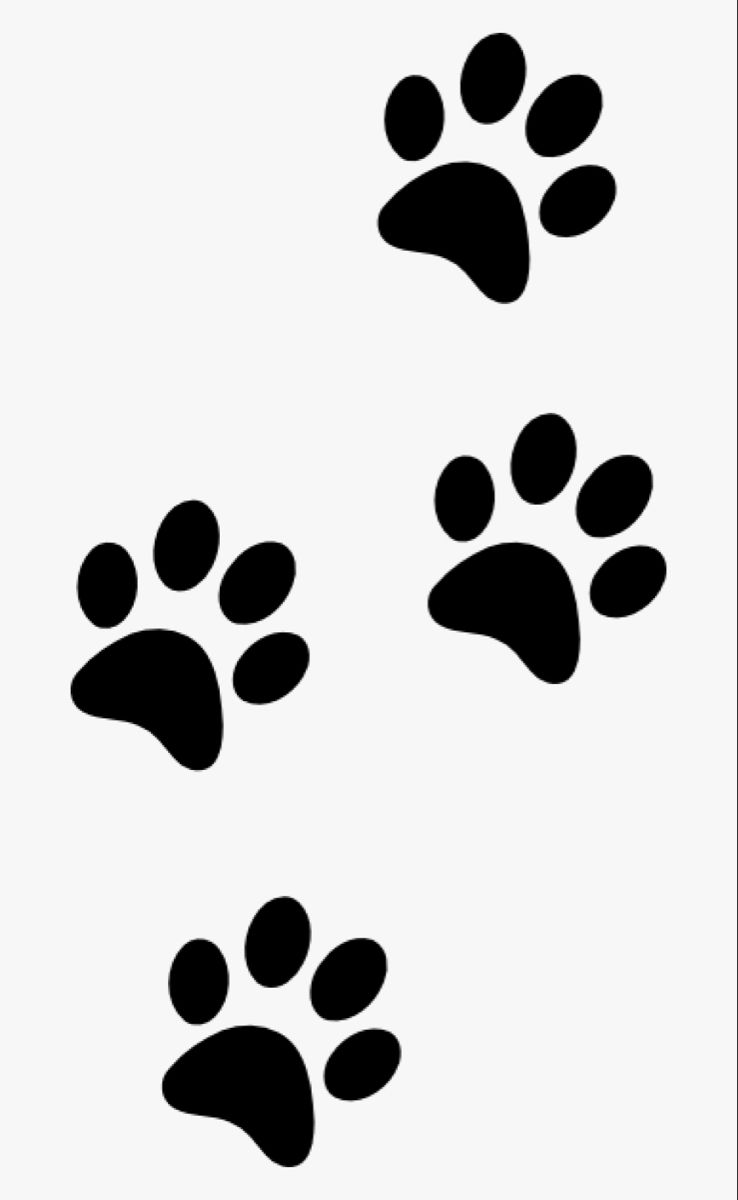 dog paw tattoo ideas 0042