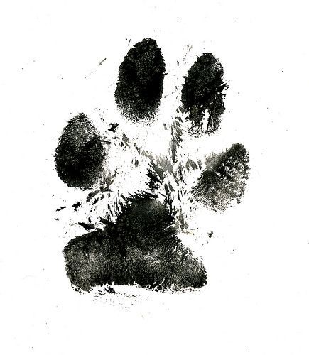 dog paw tattoo ideas 0077