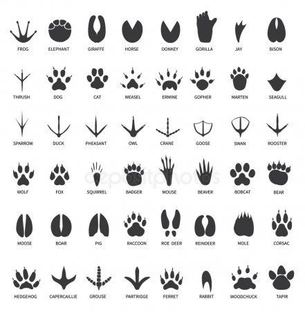 Dog paw tattoos ideas 0019