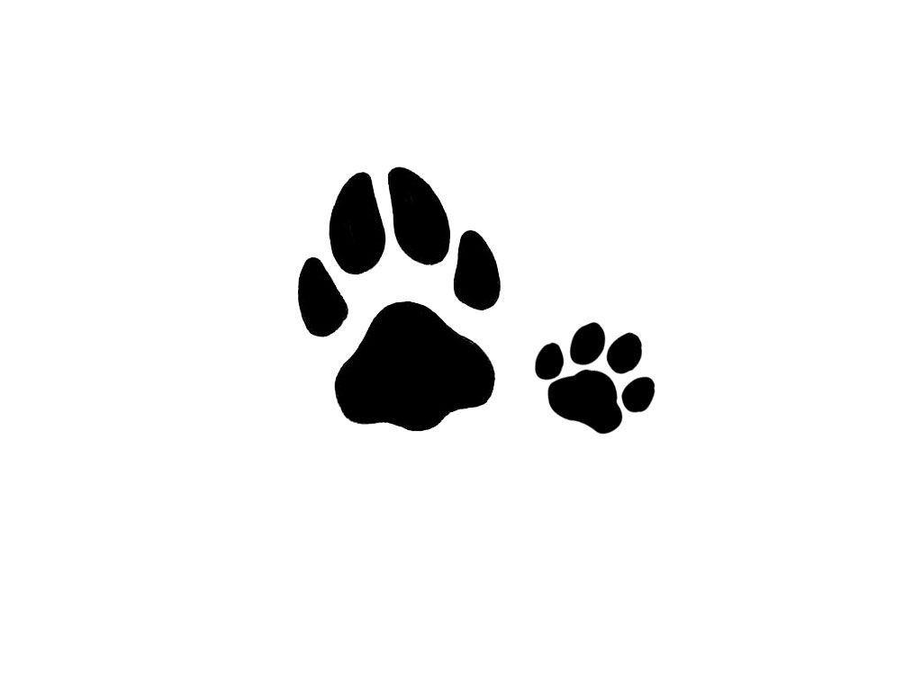 Dog paw tattoos ideas 0028