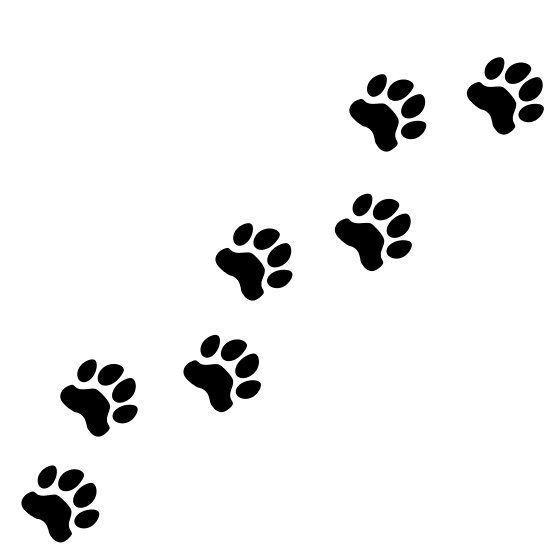 Dog paw tattoos ideas 0039