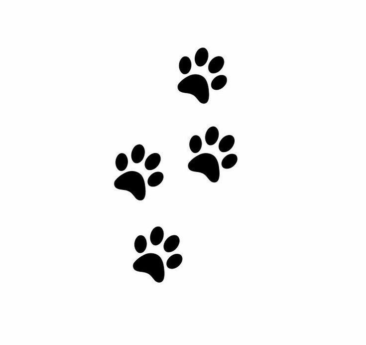 Dog paw tattoos ideas 0051