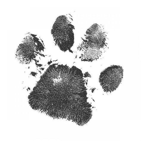 Dog paw tattoos ideas 0060