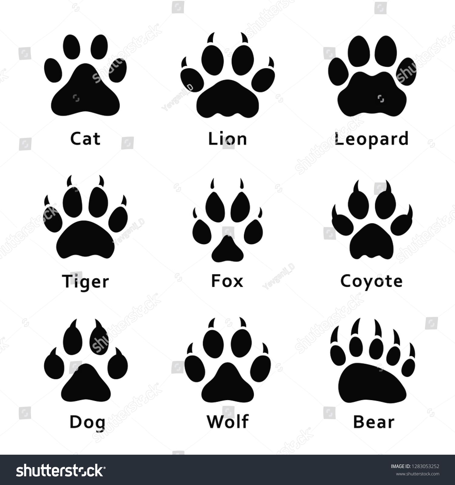 Dog paw tattoos ideas 0071