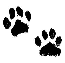 Dog paw tattoos ideas 0082