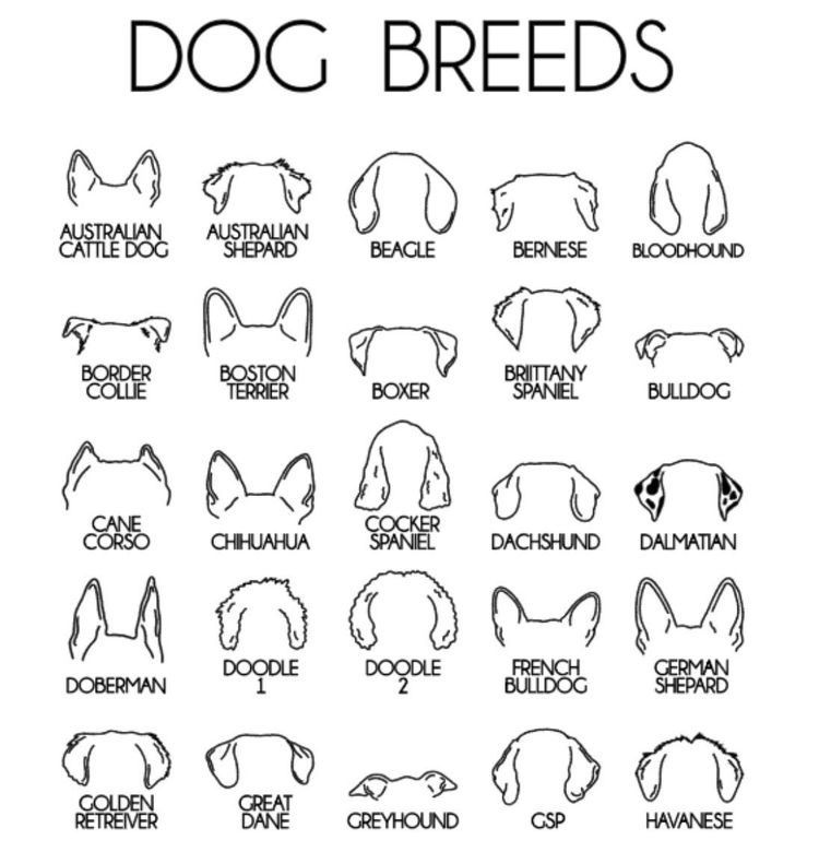 dog tattoo ideas 0095