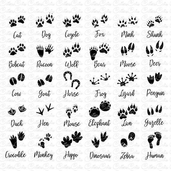 dog tattoo ideas 0099