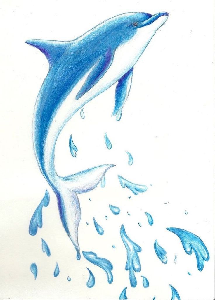 dolphin tattoo ideas 0051