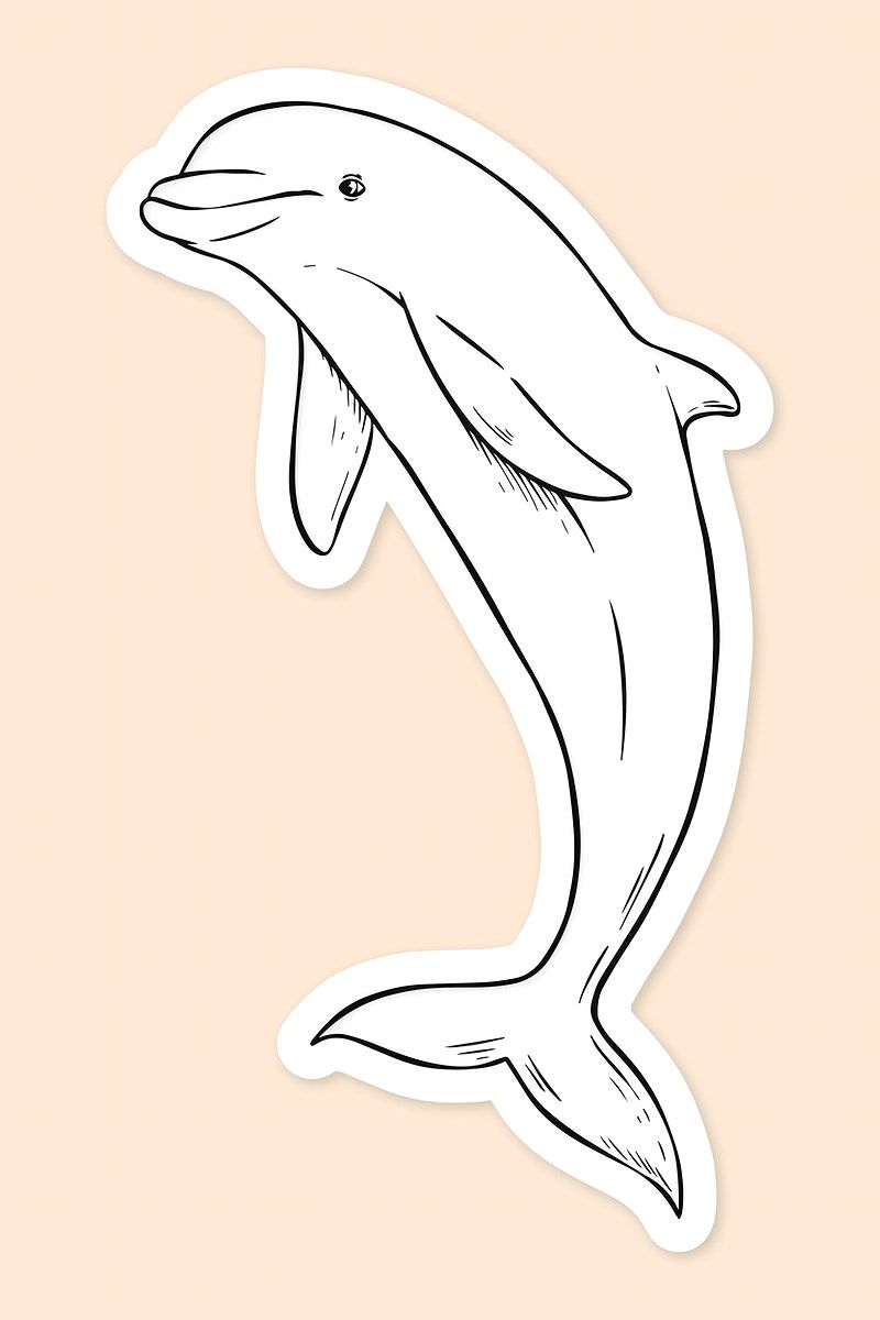 dolphin tattoo ideas 0064