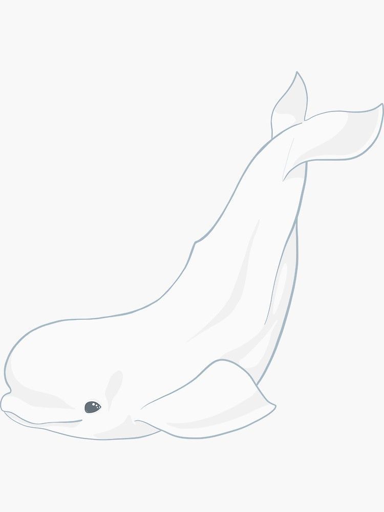 dolphin tattoo ideas 0093