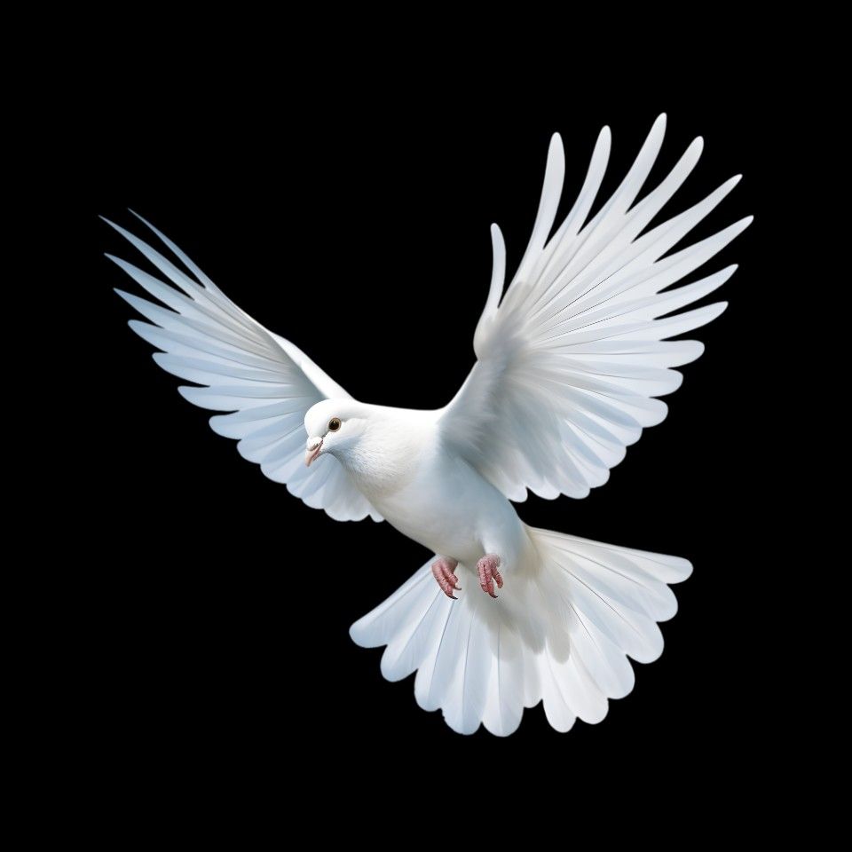 dove tattoo ideas 0023