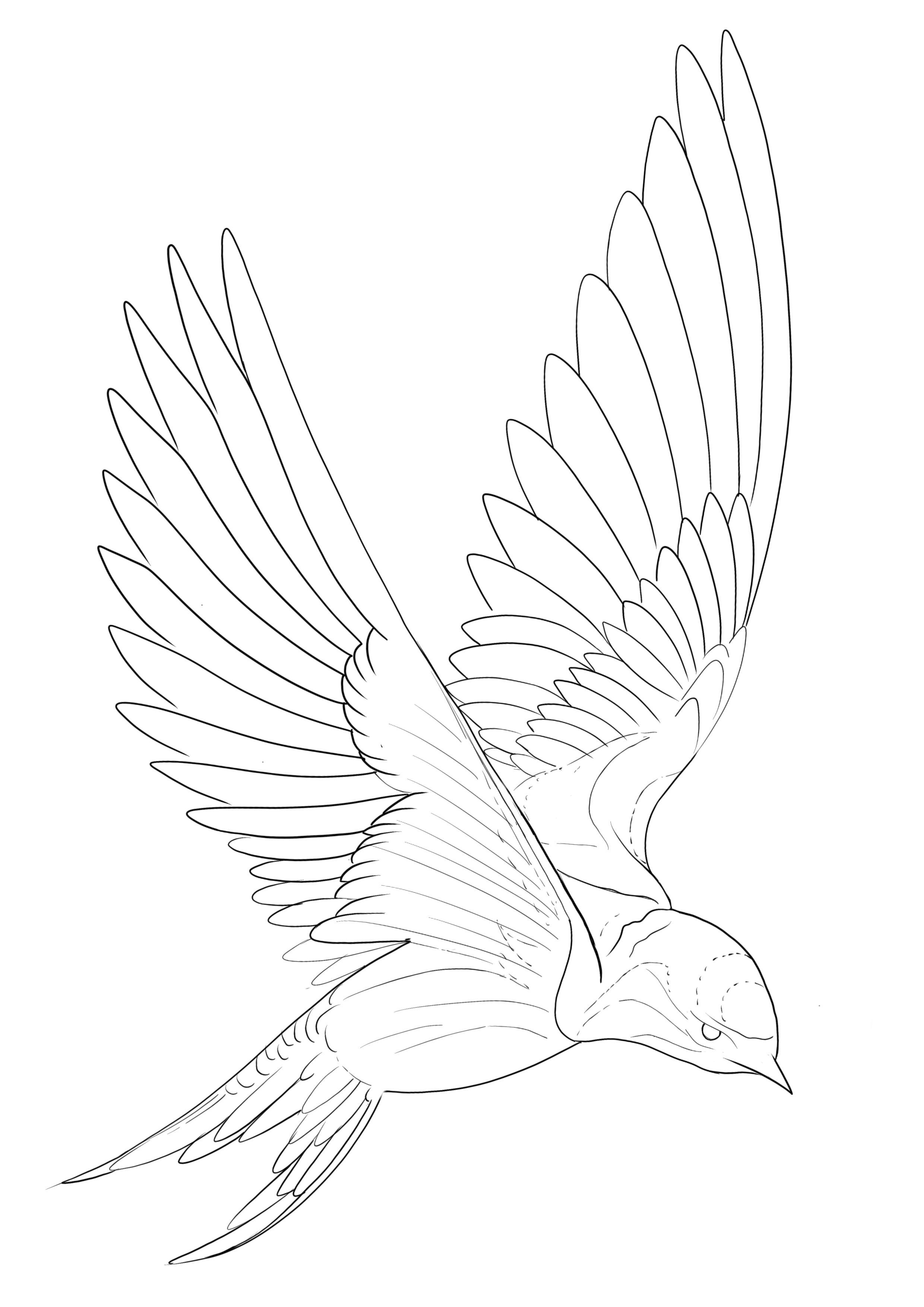 dove tattoo ideas 0036