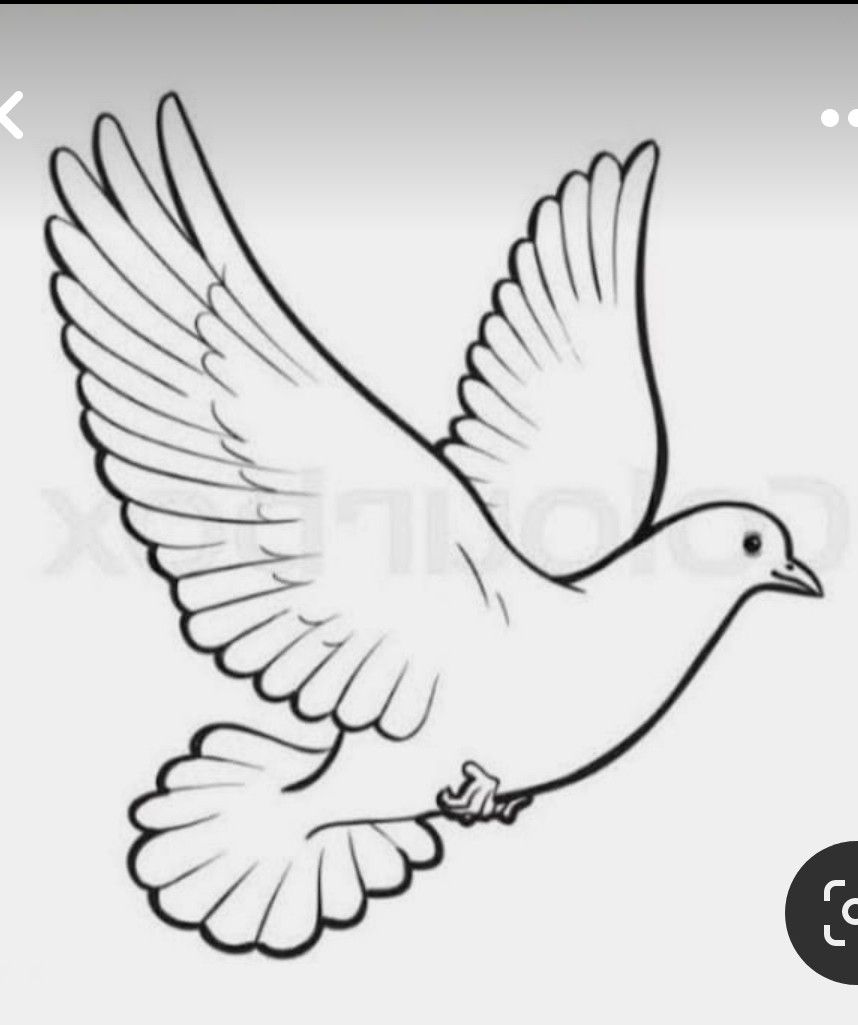 dove tattoo ideas 0040