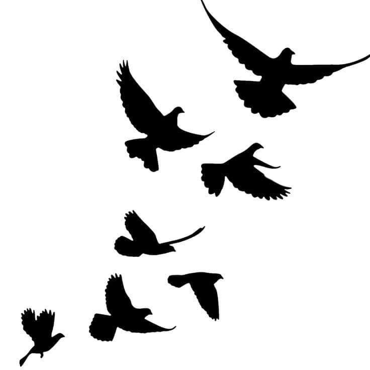 dove tattoo ideas 0062