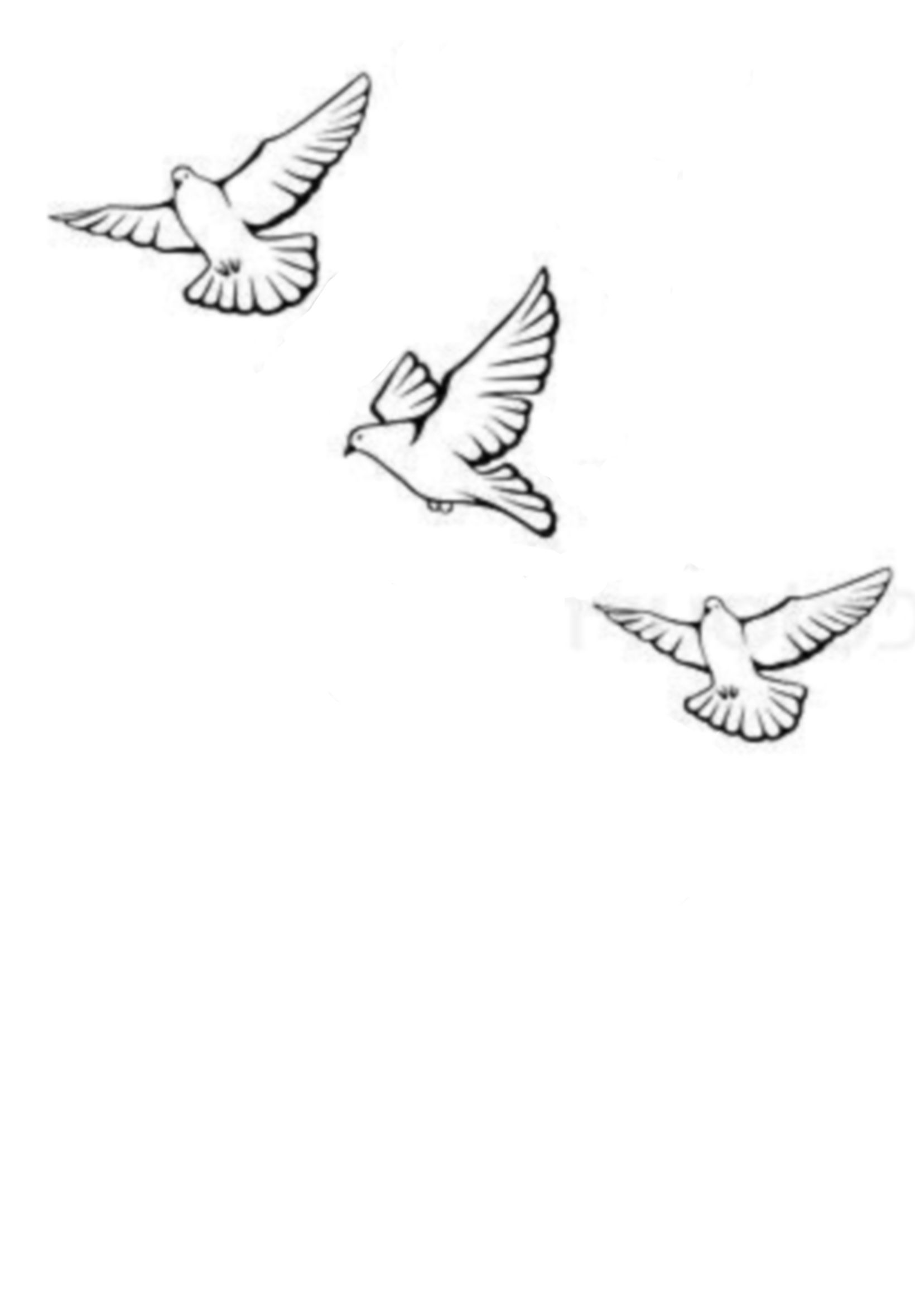 dove tattoo ideas 0069