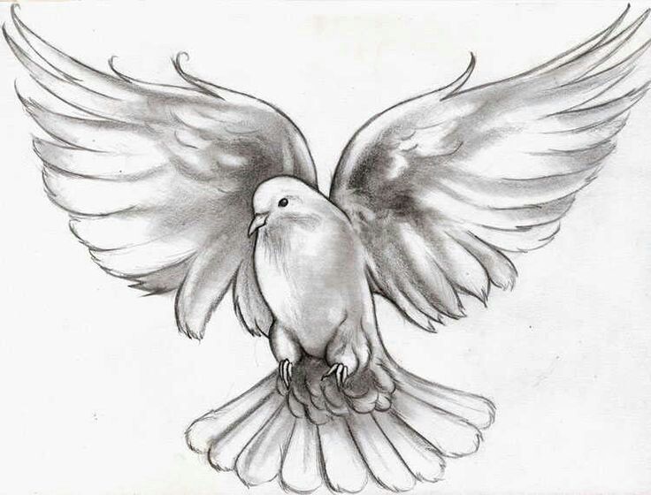 dove tattoo ideas 0074