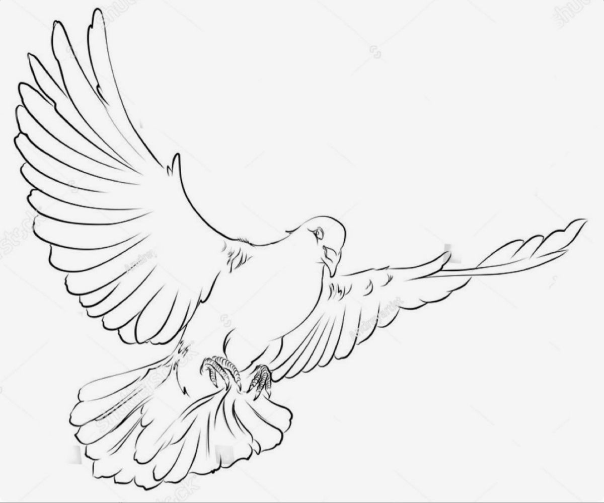 dove tattoo ideas 0076