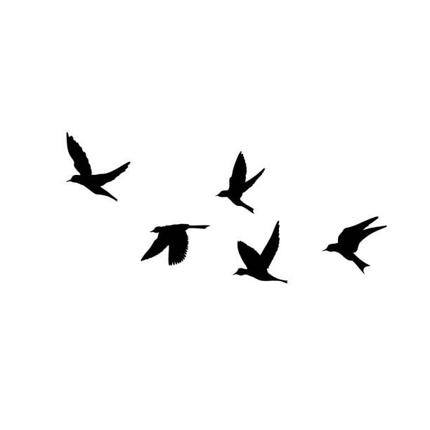 dove tattoo ideas 0081