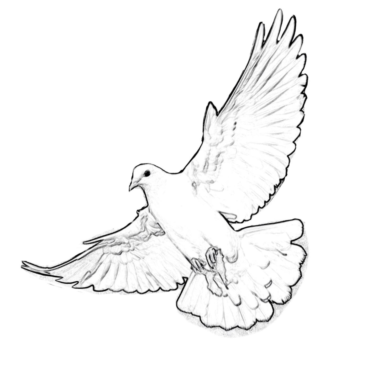 dove tattoo ideas 0086