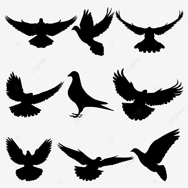 dove tattoo ideas 0089