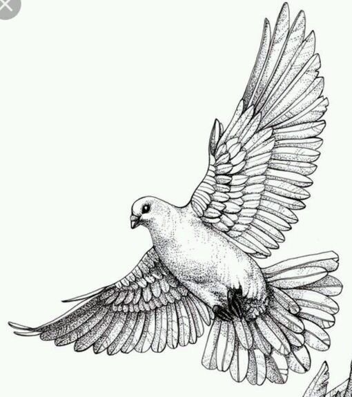 dove tattoo ideas 0096