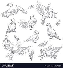 dove tattoo ideas 0097