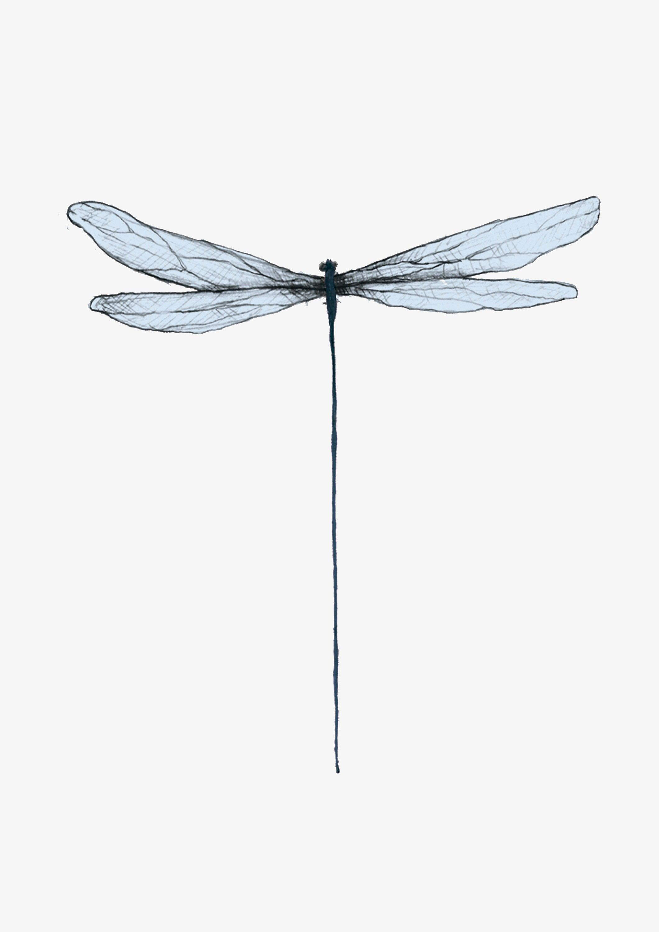 dragonfly tattoo ideas 0015