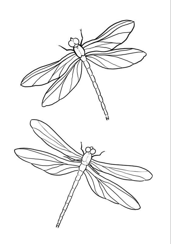 dragonfly tattoo ideas 0017