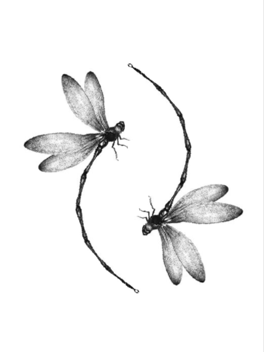 dragonfly tattoo ideas 0050