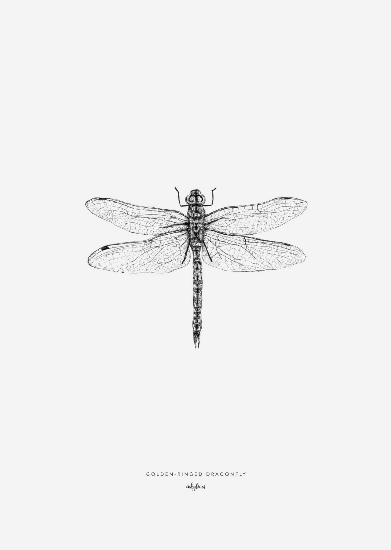 dragonfly tattoo ideas 0052