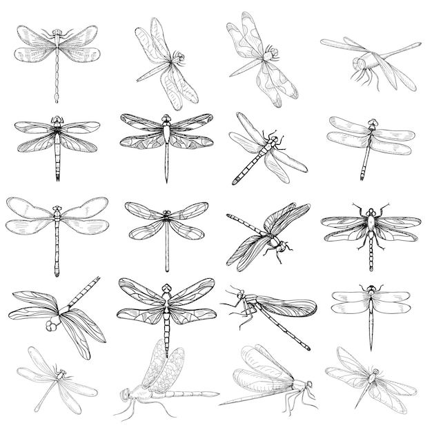 dragonfly tattoo ideas 0064