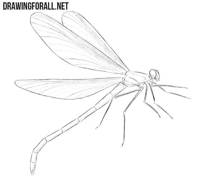 dragonfly tattoo ideas 0070