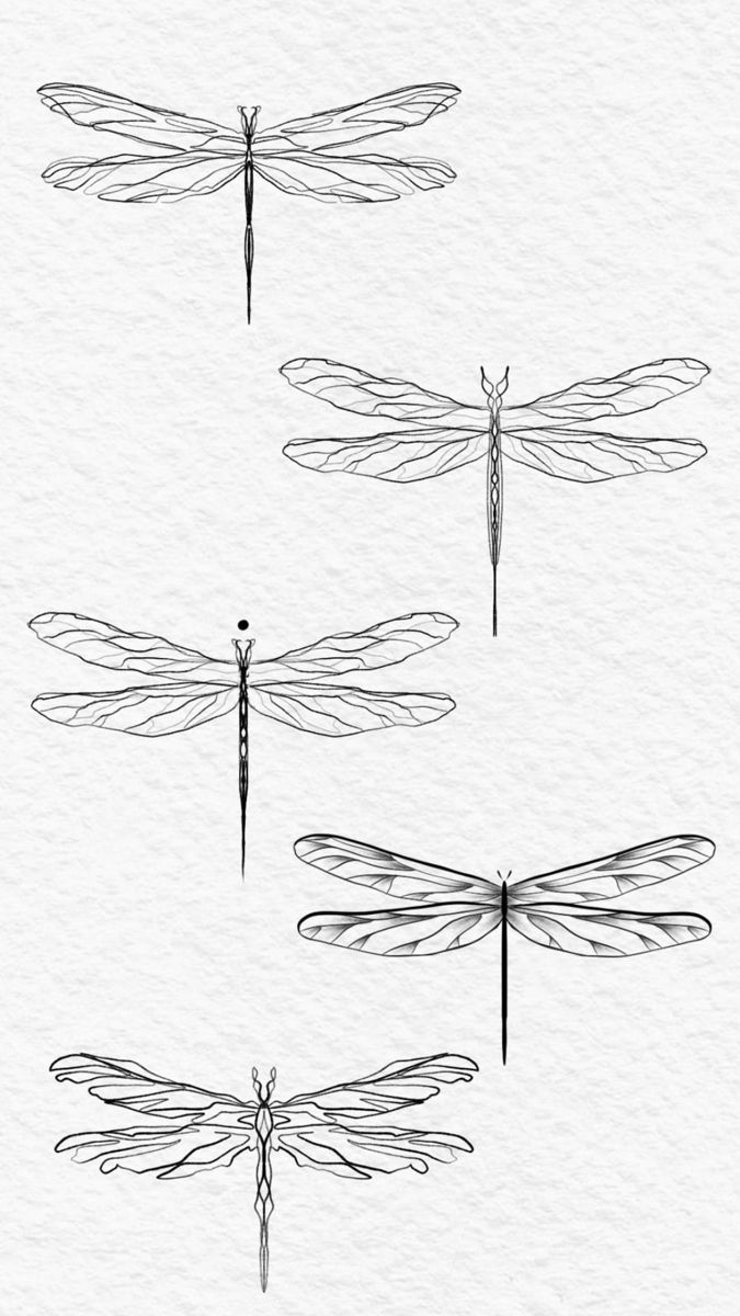 dragonfly tattoo ideas 0081