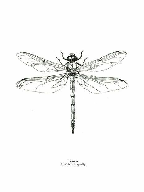 dragonfly tattoo ideas 0082