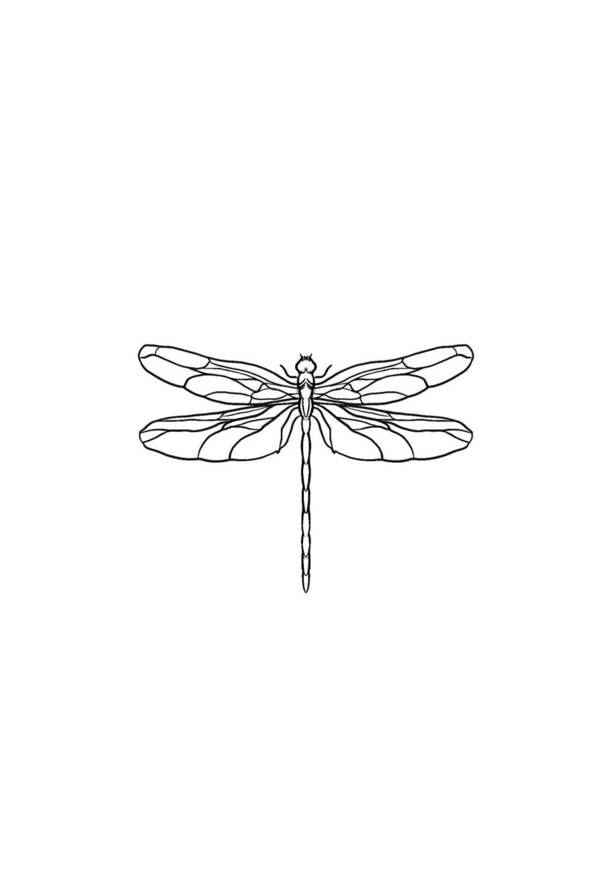 dragonfly tattoo ideas 0097