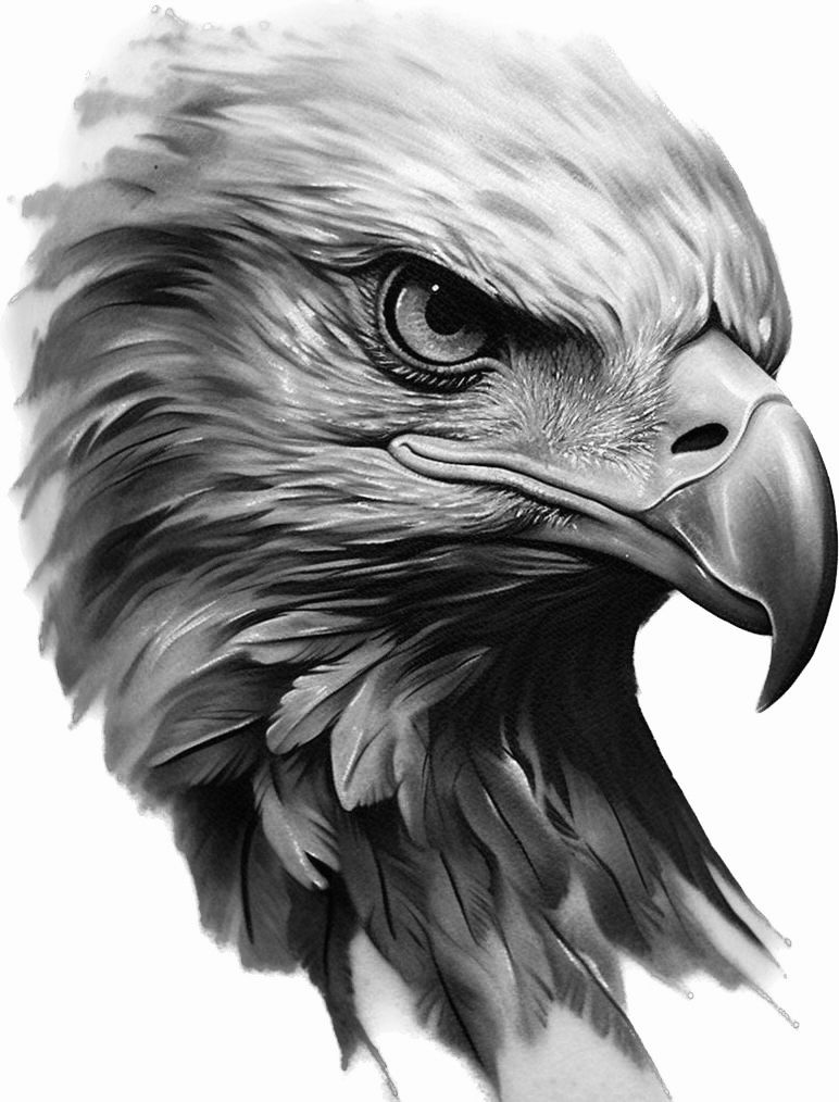 eagle tattoo ideas 0032