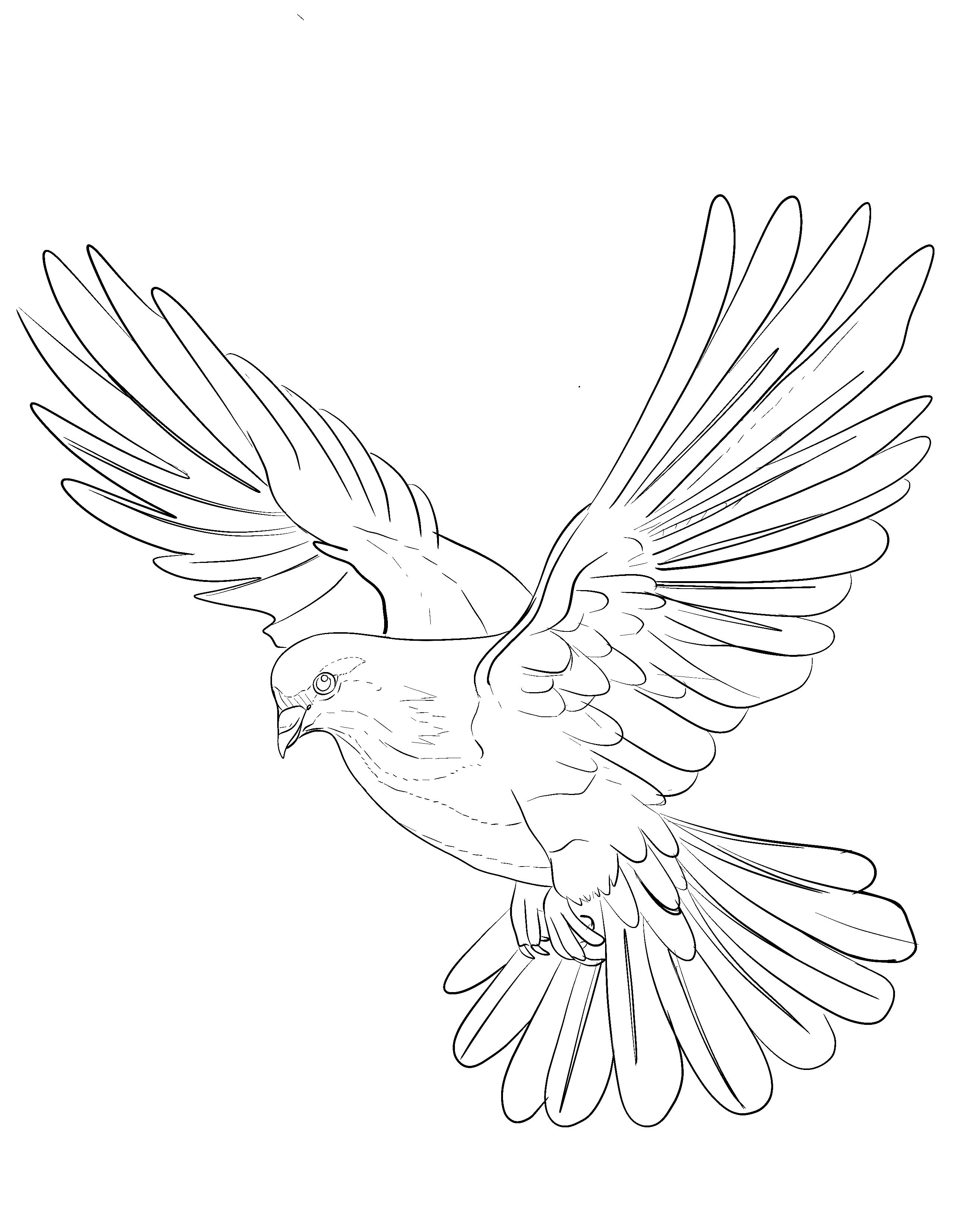 elegant dove tattoo ideas for the shoulder