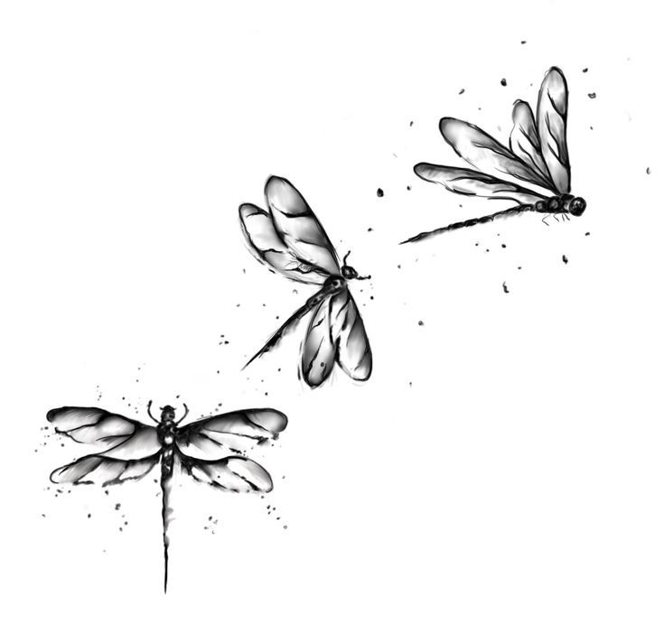 elegant small dragonfly tattoo placements