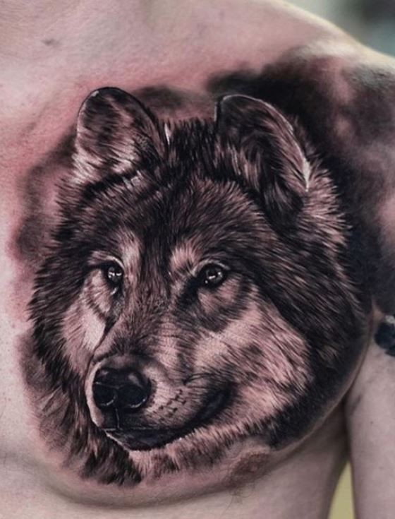 elegant tattoo ideas for silver lab dog owners.