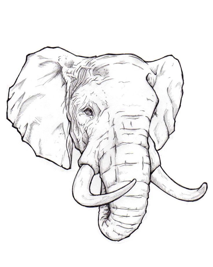 elephant tattoo ideas 0029