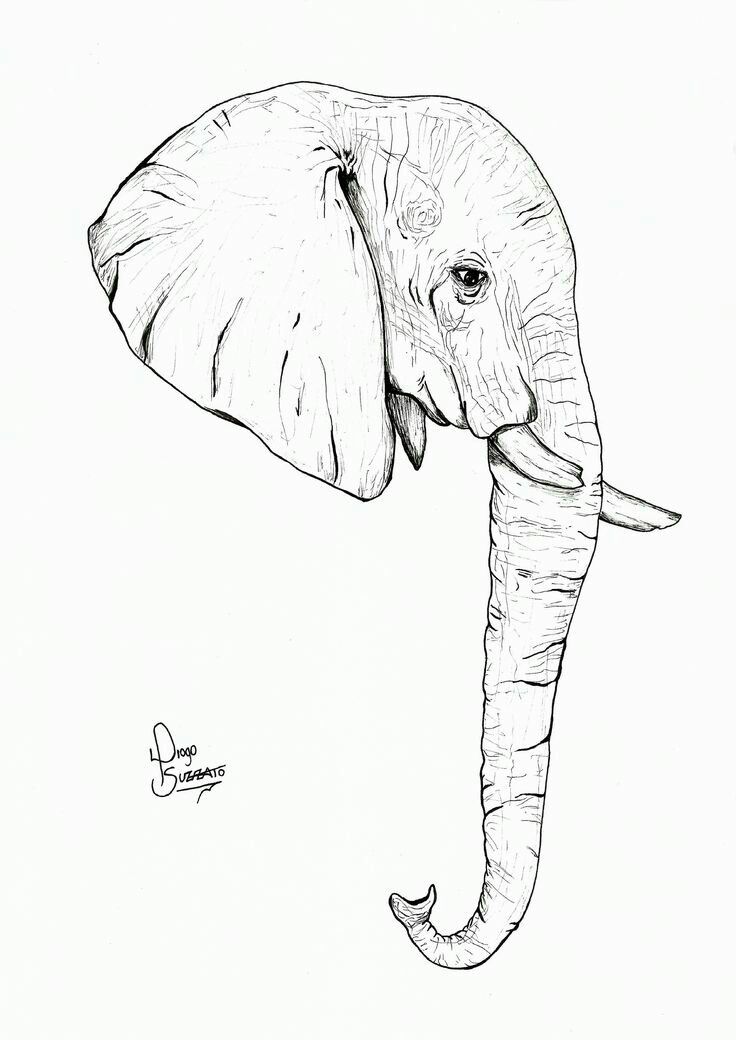 elephant tattoo ideas 0048