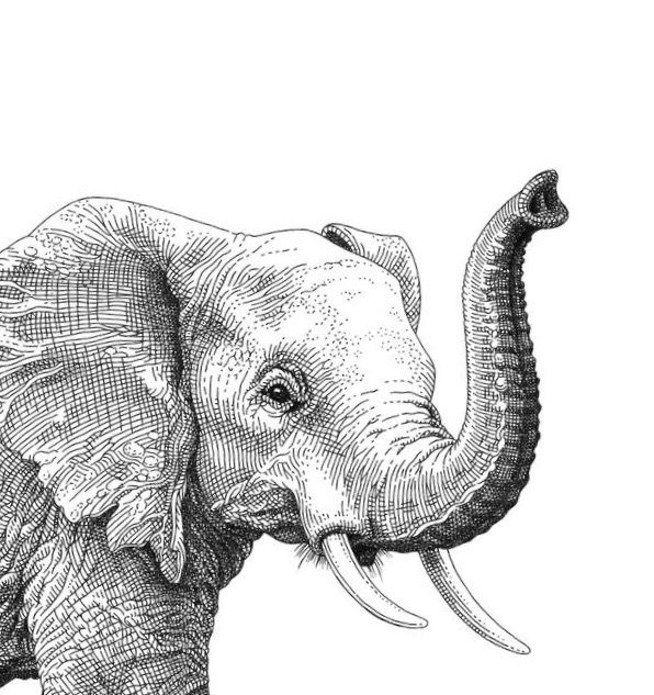 elephant tattoo ideas 0052