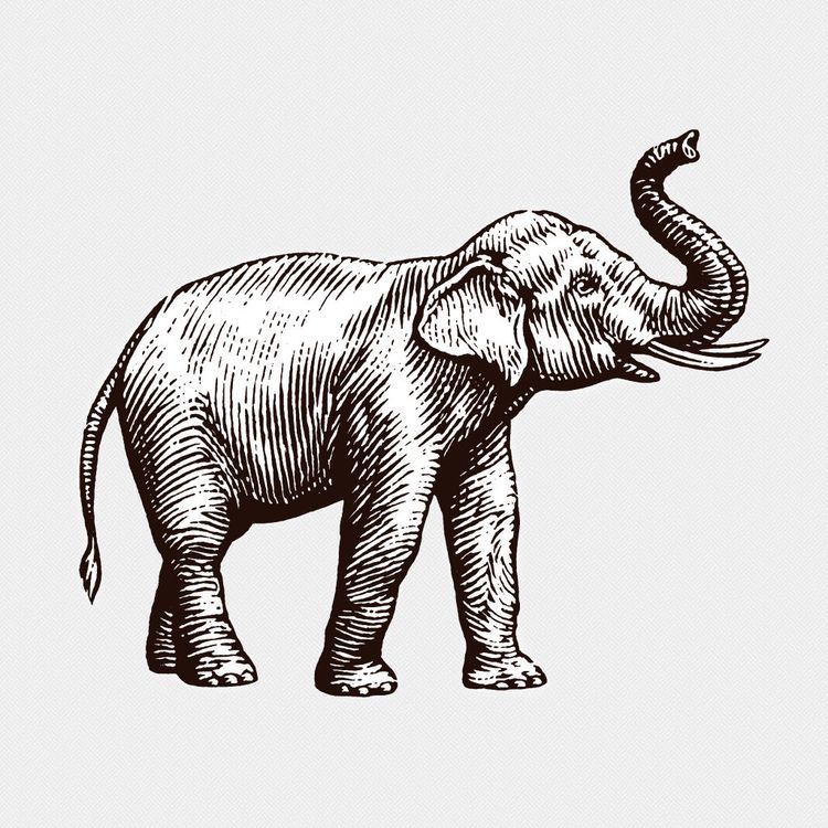 elephant tattoo ideas 0076