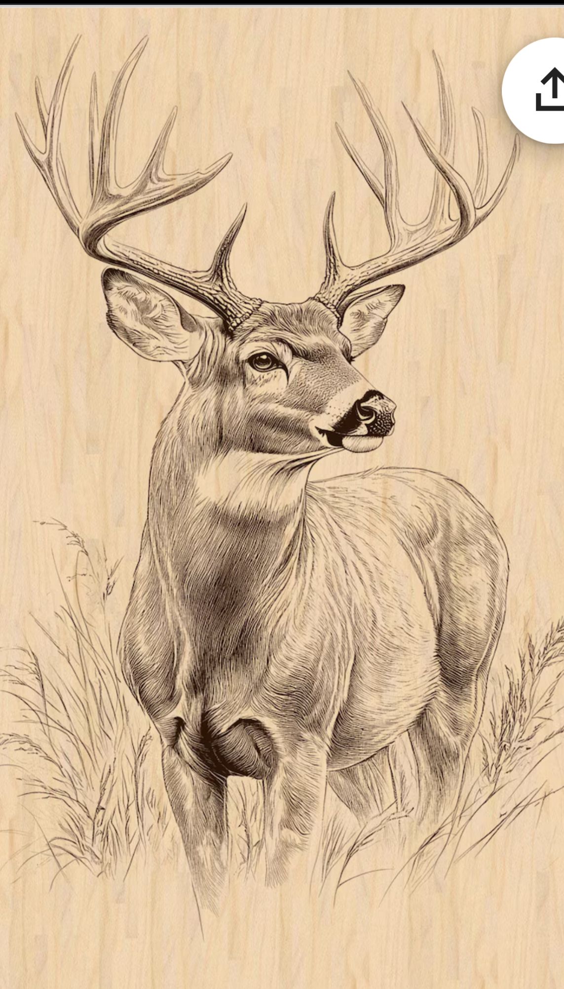 elk tattoo ideas 0010