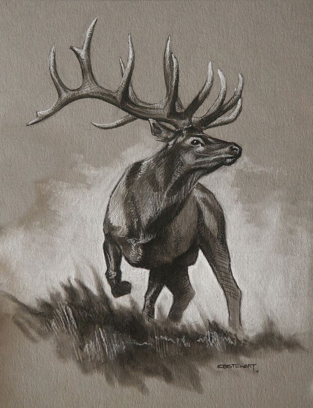 elk tattoo ideas 0020