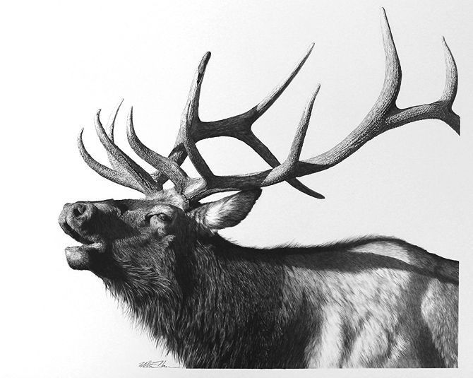 elk tattoo ideas 0023