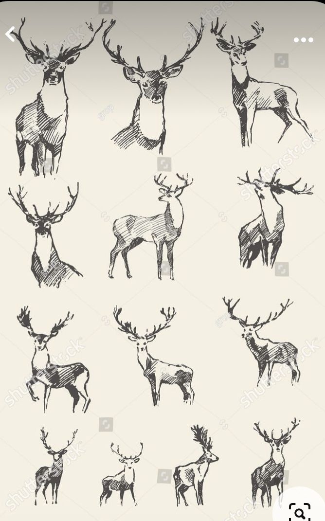 elk tattoo ideas 0029