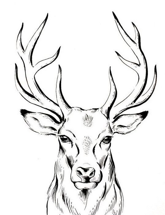 elk tattoo ideas 0031