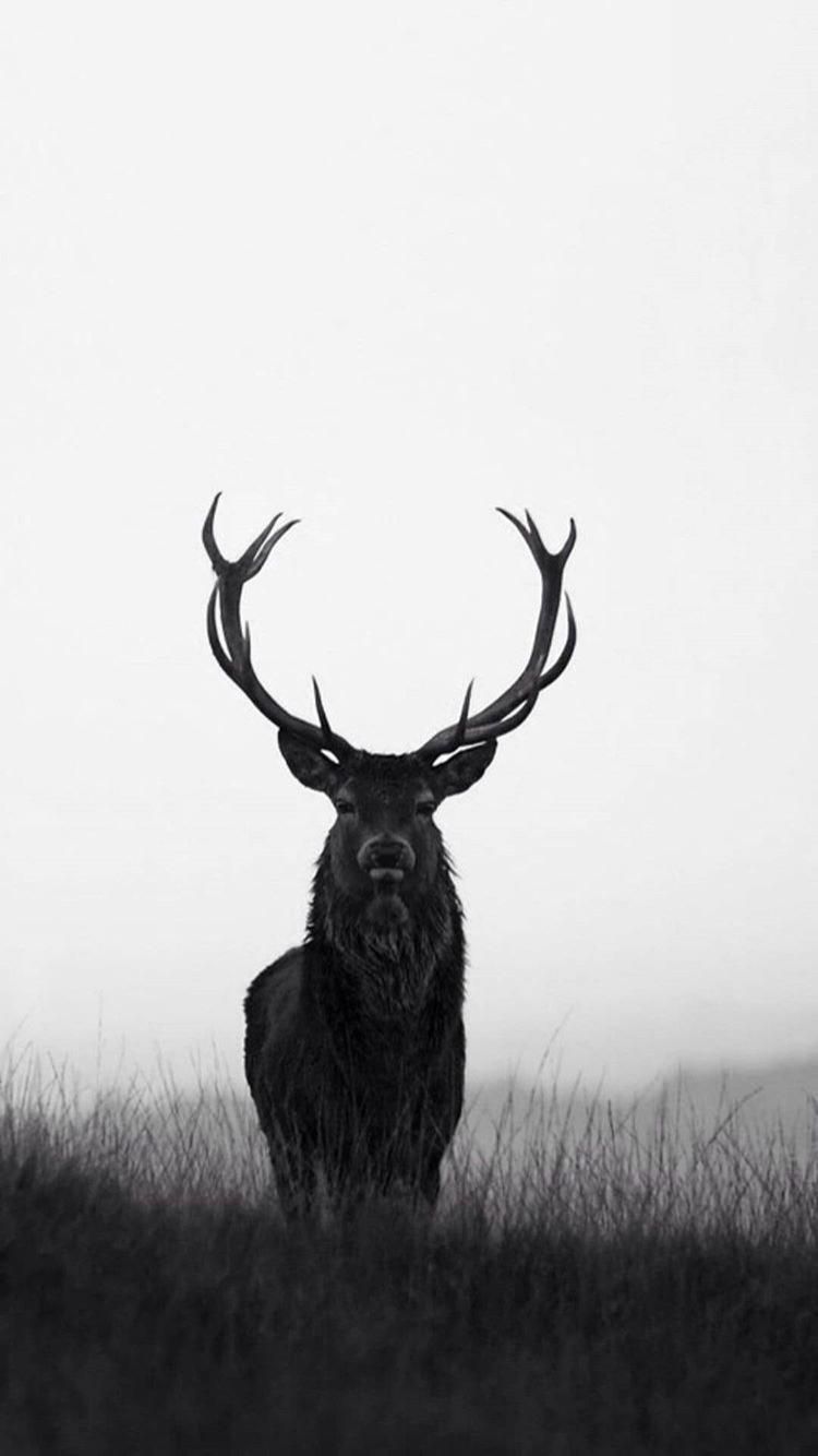 elk tattoo ideas 0036