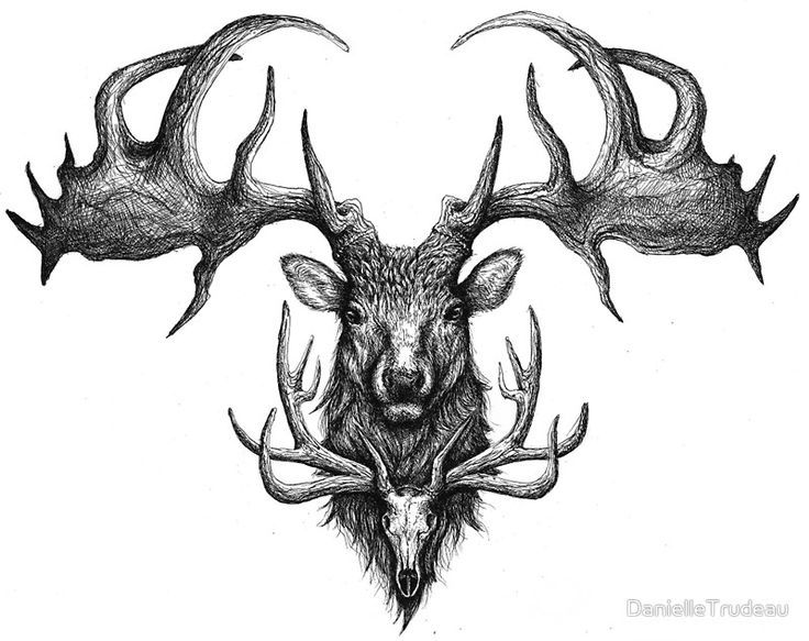 elk tattoo ideas 0046